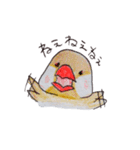 癒やし文鳥スタンプ（個別スタンプ：35）