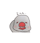 癒やし文鳥スタンプ（個別スタンプ：38）