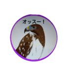 鳥シリーズ①（個別スタンプ：3）