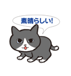 にゃんこのつぶやき【敬語編】（個別スタンプ：39）