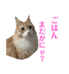 わたしのジャンくん（個別スタンプ：1）