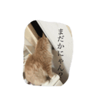 わたしのジャンくん（個別スタンプ：2）