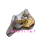 わたしのジャンくん（個別スタンプ：6）