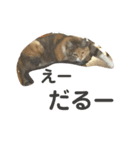 ちゃこ2（個別スタンプ：1）