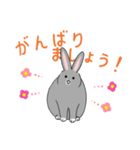 ゆるっと灰うさぎの敬語（個別スタンプ：20）
