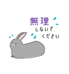 ゆるっと灰うさぎの敬語（個別スタンプ：24）