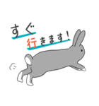 ゆるっと灰うさぎの敬語（個別スタンプ：30）