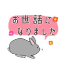 ゆるっと灰うさぎの敬語（個別スタンプ：39）
