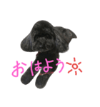 あいたむ（個別スタンプ：6）