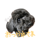 あいたむ（個別スタンプ：8）