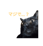ネコ…思う。（個別スタンプ：7）