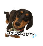 おじゃる（個別スタンプ：6）