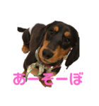 おじゃる（個別スタンプ：7）