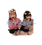 仲良し姉妹Part2❤（個別スタンプ：1）