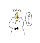 にゃんピヨちゃん（個別スタンプ：21）