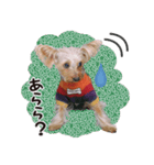 -ももクロくん1-（個別スタンプ：2）