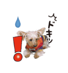 -ももクロくん1-（個別スタンプ：3）