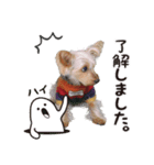 -ももクロくん1-（個別スタンプ：4）