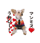 -ももクロくん1-（個別スタンプ：6）