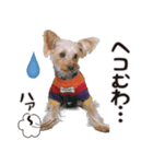 -ももクロくん1-（個別スタンプ：7）
