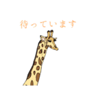 てがきずかん（個別スタンプ：11）