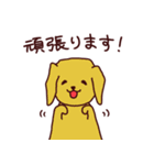 敬語わんこ（犬）スタンプ（個別スタンプ：13）