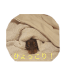 ミル スタンプ（個別スタンプ：3）