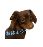ミル スタンプ（個別スタンプ：6）