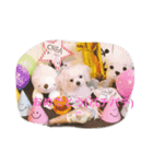Crea の日常（個別スタンプ：5）