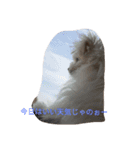Crea の日常（個別スタンプ：7）
