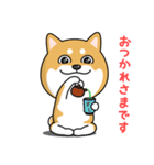 柴犬 GOOD DAY 『敬語編』（個別スタンプ：1）