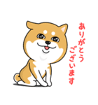 柴犬 GOOD DAY 『敬語編』（個別スタンプ：2）