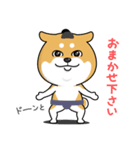柴犬 GOOD DAY 『敬語編』（個別スタンプ：3）
