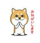 柴犬 GOOD DAY 『敬語編』（個別スタンプ：4）