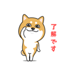 柴犬 GOOD DAY 『敬語編』（個別スタンプ：6）