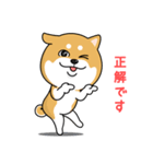 柴犬 GOOD DAY 『敬語編』（個別スタンプ：8）