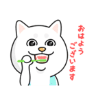 柴犬 GOOD DAY 『敬語編』（個別スタンプ：9）