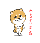 柴犬 GOOD DAY 『敬語編』（個別スタンプ：13）
