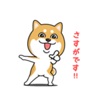 柴犬 GOOD DAY 『敬語編』（個別スタンプ：14）