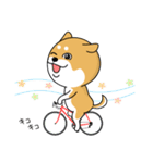 柴犬 GOOD DAY 『敬語編』（個別スタンプ：15）