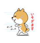 柴犬 GOOD DAY 『敬語編』（個別スタンプ：17）