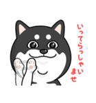 柴犬 GOOD DAY 『敬語編』（個別スタンプ：19）
