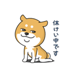 柴犬 GOOD DAY 『敬語編』（個別スタンプ：22）