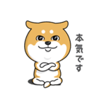 柴犬 GOOD DAY 『敬語編』（個別スタンプ：24）