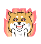 柴犬 GOOD DAY 『敬語編』（個別スタンプ：26）