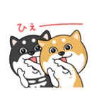 柴犬 GOOD DAY 『敬語編』（個別スタンプ：28）