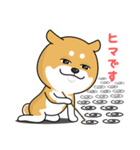 柴犬 GOOD DAY 『敬語編』（個別スタンプ：30）