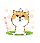 柴犬 GOOD DAY 『敬語編』（個別スタンプ：31）