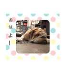 わたしの自慢（個別スタンプ：6）