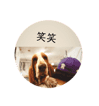わたしの自慢（個別スタンプ：7）